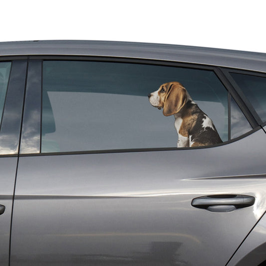 Beagle