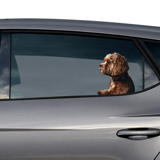 Cavapoo